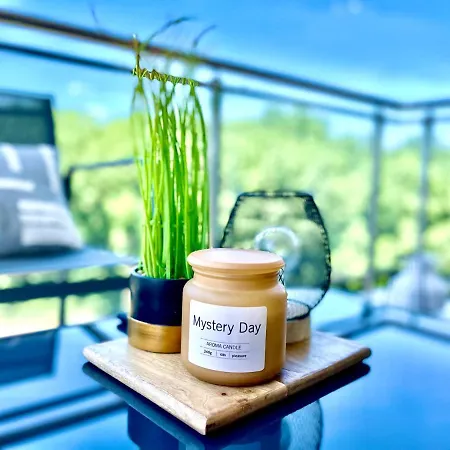 Forest View 蒂米什瓦拉