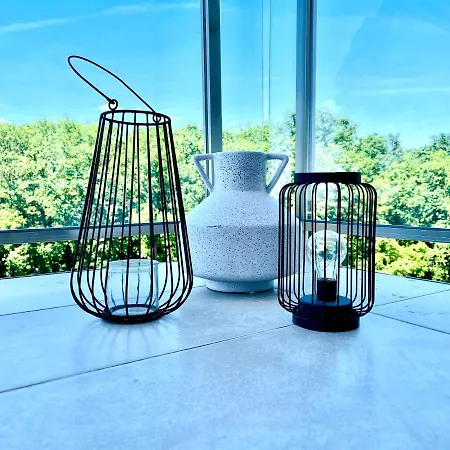 Forest View Temeşvar